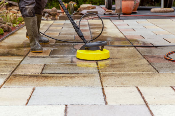 Best Patio and Deck Pressure Washing  in Lake Mills, IA
